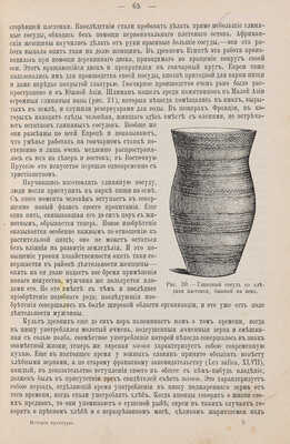 Липперт Ю. История культуры. СПБ.: Ф. Павленков, 1907.